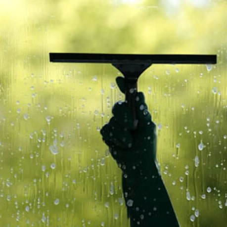 Limpa vidro caseiro: solução simples e econômica!